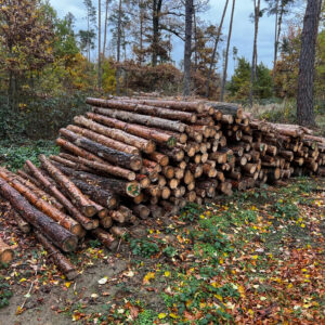 Palivové Dříví Borovice 2,5m