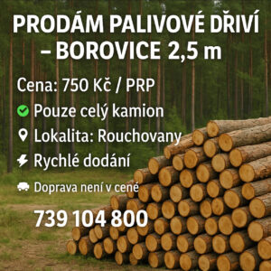 Palivové dříví Borovice 2,5m